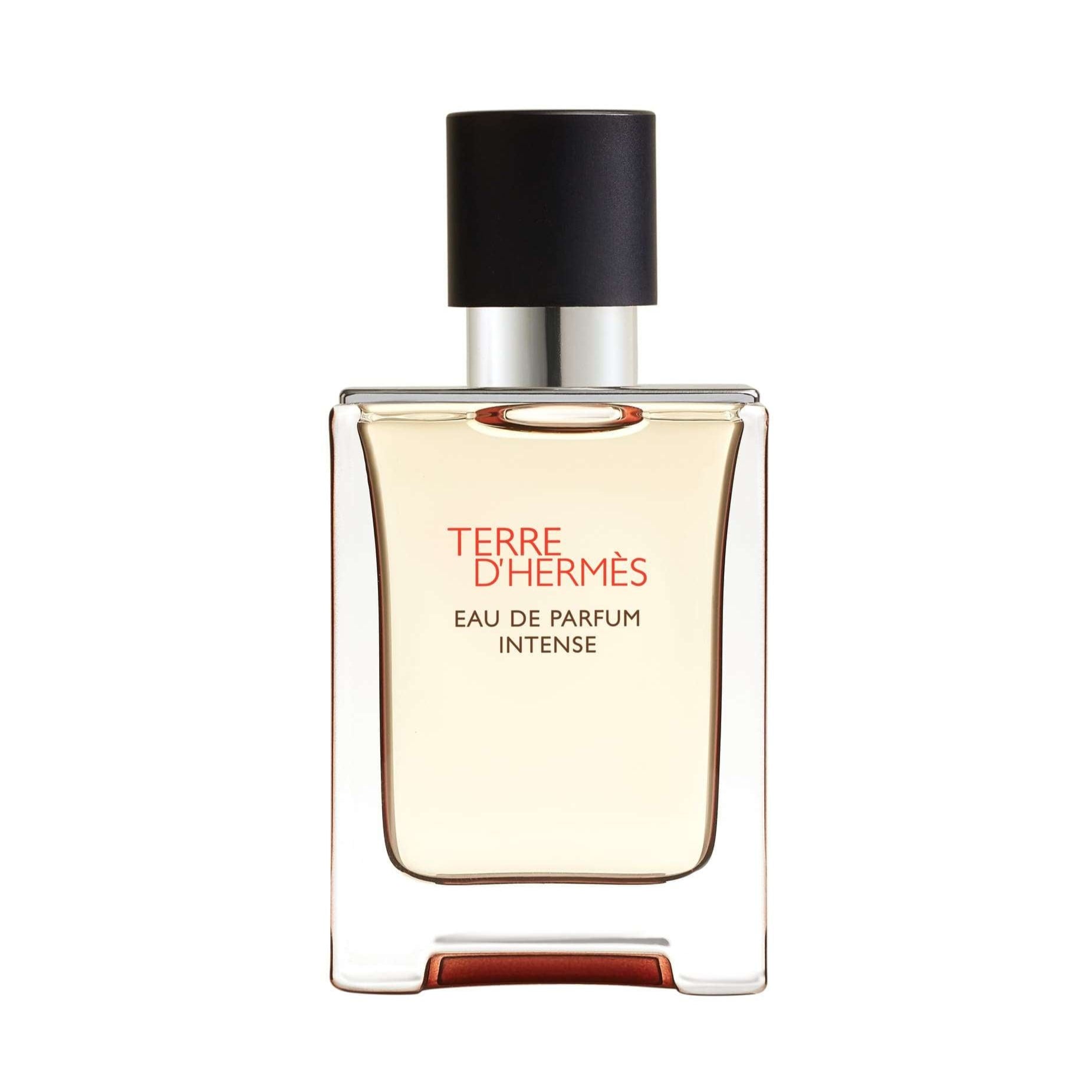 Hermes Terre D'Hermes Perfume For Men EDP Intense 50ml Refillable