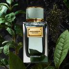 Dolce & Gabbana Velvet Infusion Perfume For Unisex EDP 100ml