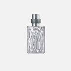 Cerruti 1881 Silver Pour Homme Eau De Toilette For Men - Aromatic Fougere Perfume 50ml