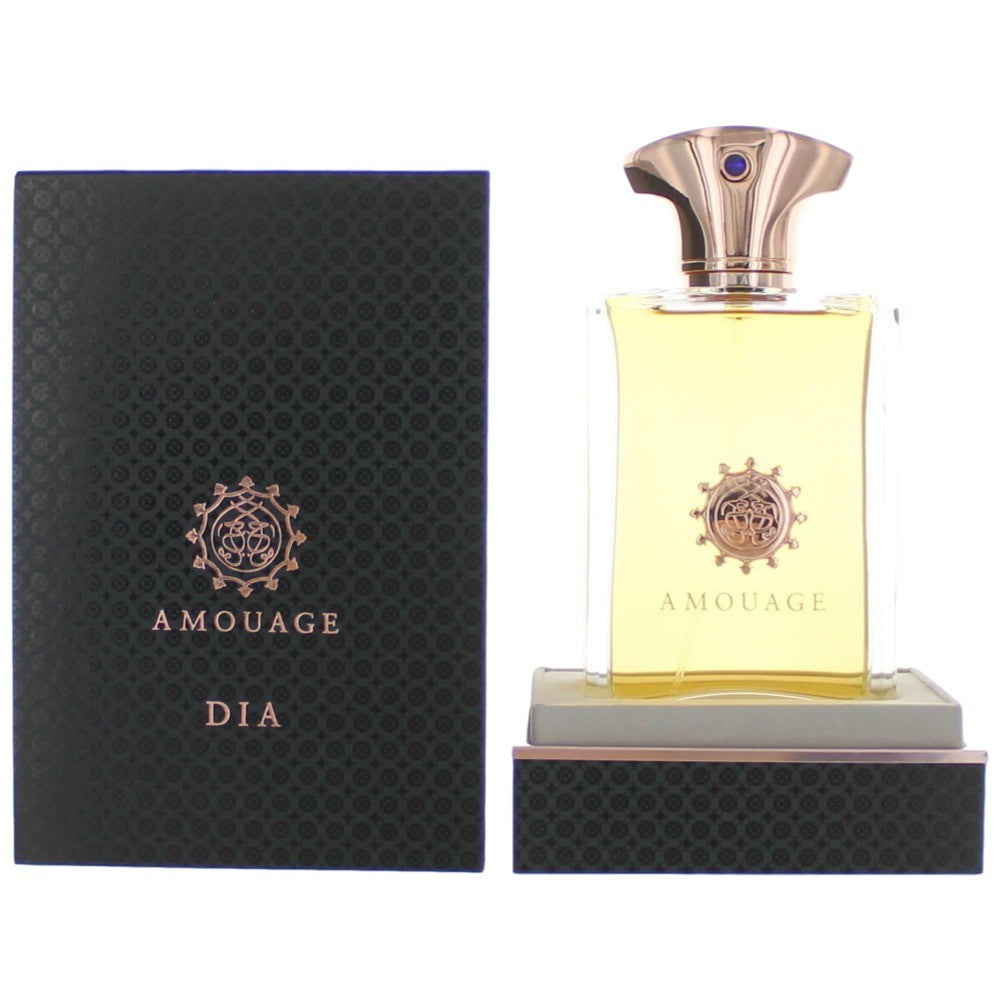 AMOUAGE DIA FOR MAN EDP 100 ml