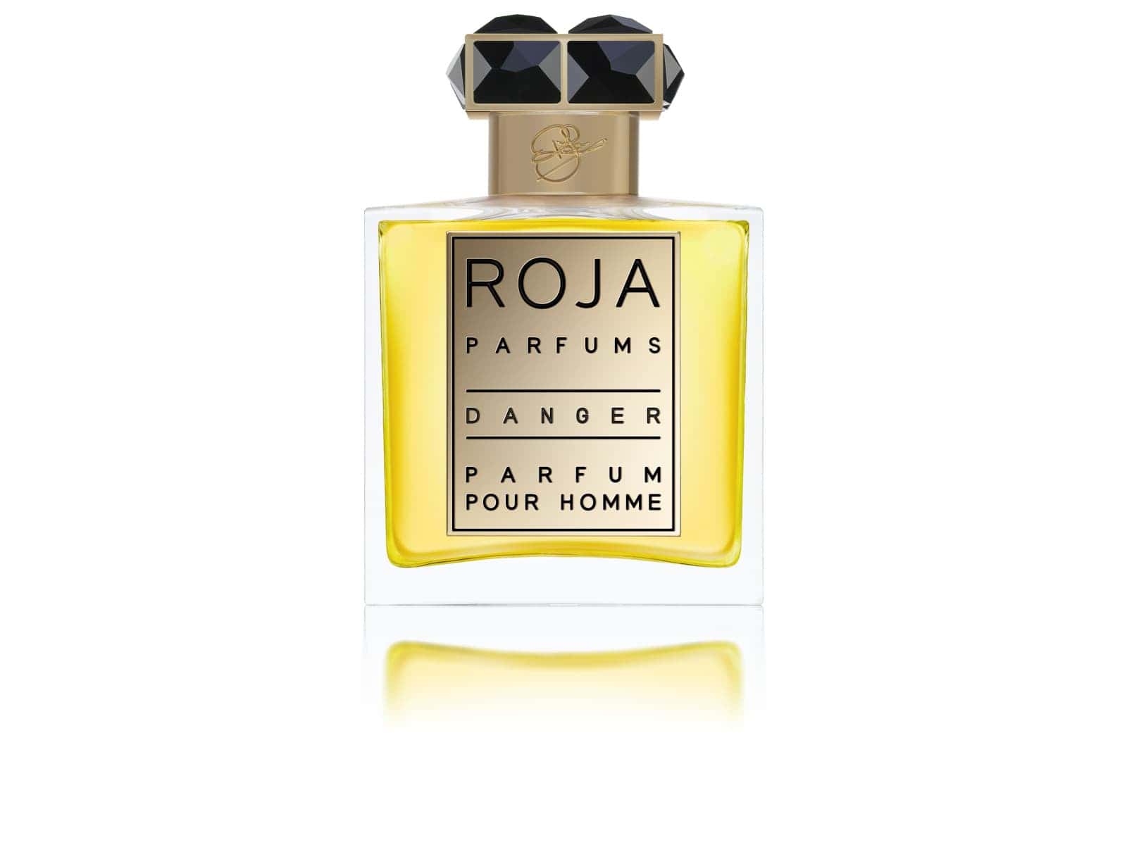 Roja Parfums Danger Pour Homme - Perfume For Men - Parfum 50 ml